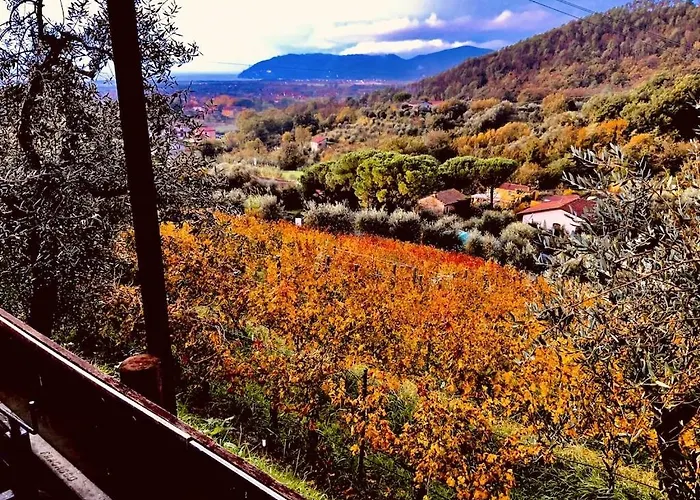 Lejlighedshotel La Carreccia Luni