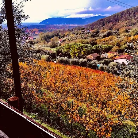 Ξενοδοχείο με διαμερίσματα La Carreccia Luni