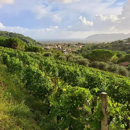 La Carreccia